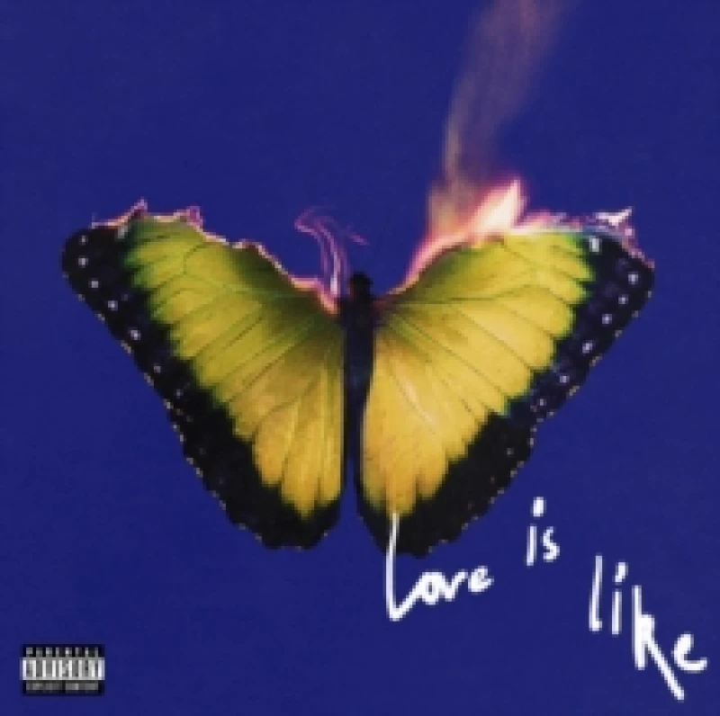 Image of Love Is Like Vinyl