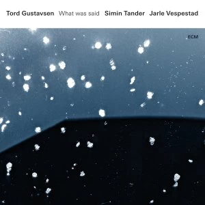 Image of Tord Gustavsen / Simin Tander & Jarle Vespestad - What Was Said Vinyl
