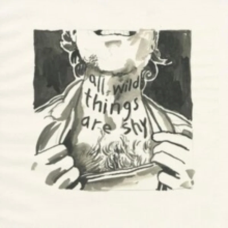 Image of All wild things are shy CD / Album