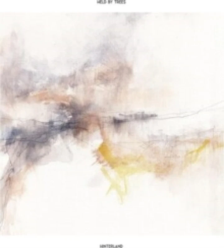 Image of Held by Trees Hinterland (Vinyl) 12 Album