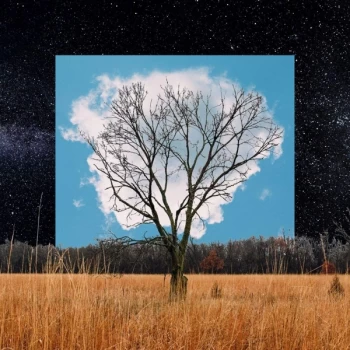 Image of Fink - Bloom Innocent Vinyl