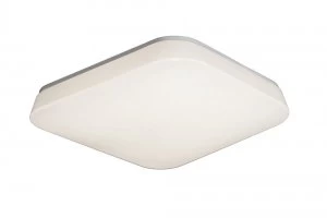 Image of Flush Ceiling, Flush Wall 28W Large LED 3000K, 2800lm, White Acrylic