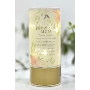 Image of Peaches and Cream Mum LED Light