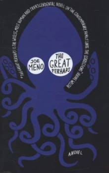 Image of The Great Perhaps by Joe Meno Hardback