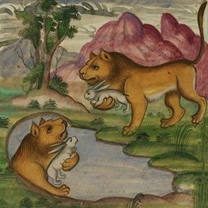 Image of Not Waving & Dark Mark - Downwelling White Vinyl