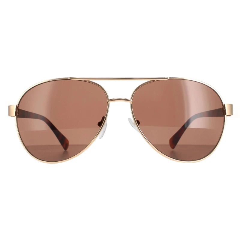 Image of Calvin Klein Aviator Gold Brown CK19316S Gold male