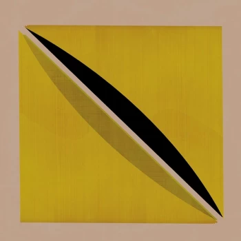 Image of Snow Palms - Origin and Echo Vinyl