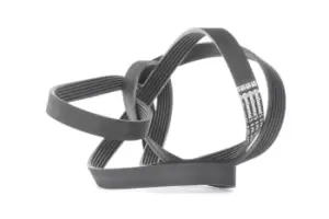 Image of CONTITECH V-ribbed belt VW,AUDI,CHRYSLER 6PK2490 059903137T,06E903137R,4612018 4612418,4612928,059903137T,06E903137R