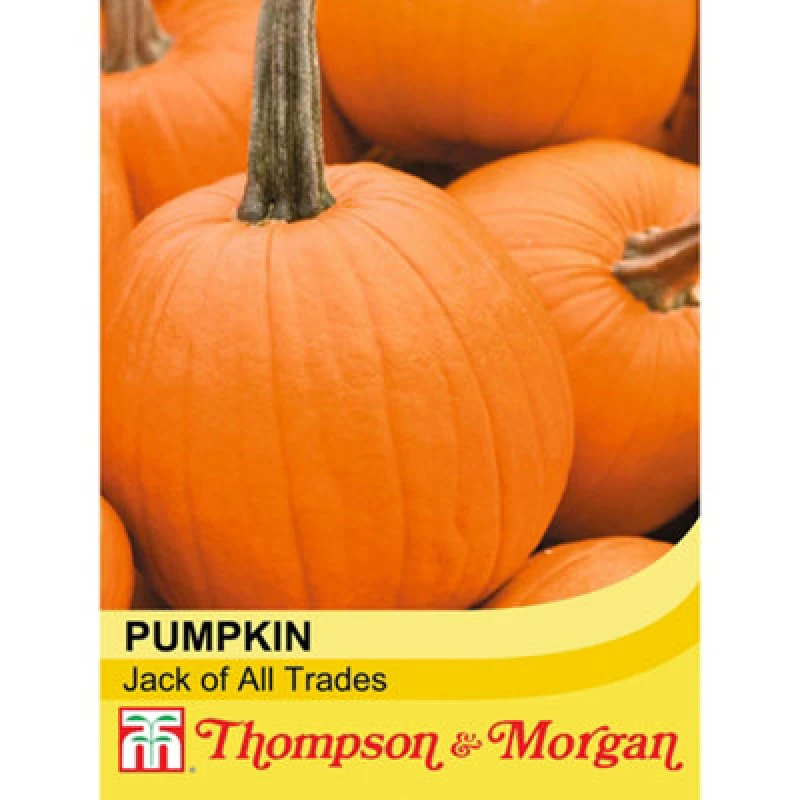 Image of Thompson & Morgan Pumpkin Jack Of All Trades F1 1 Seed Packet (10 Seeds)