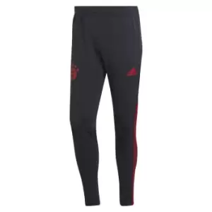 Image of 2022-2023 Bayern Munich Training Pants (Night Grey)