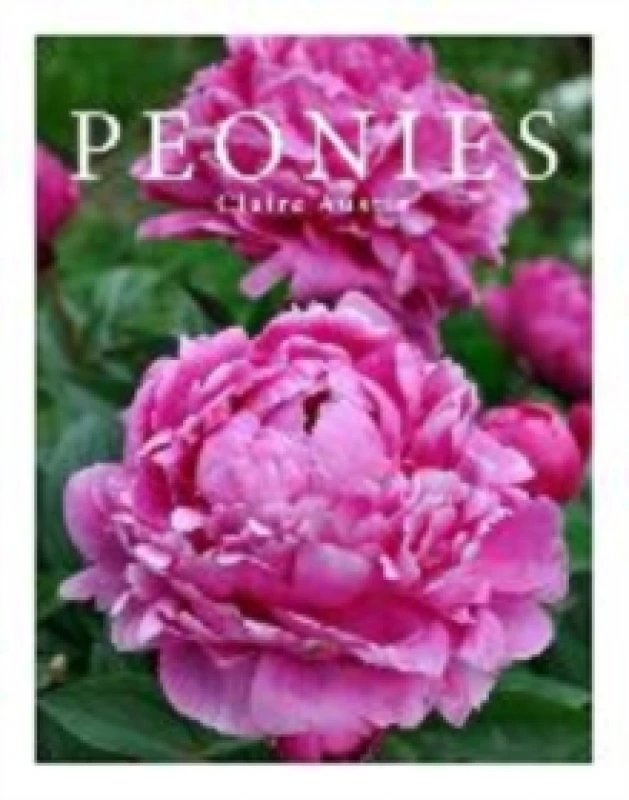 Image of Peonies. Hardback. By Claire Austin Books