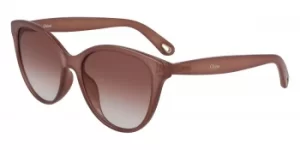 Image of Chloe Sunglasses CE 767S 643