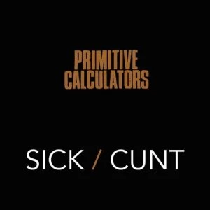 Image of Primitive Calculators - Sick / C*** Vinyl