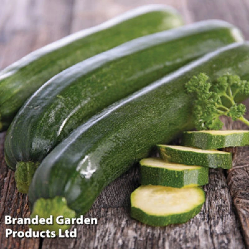 Image of Thompson & Morgan Courgette (Zucchini) 1 Packet (25 Seeds)