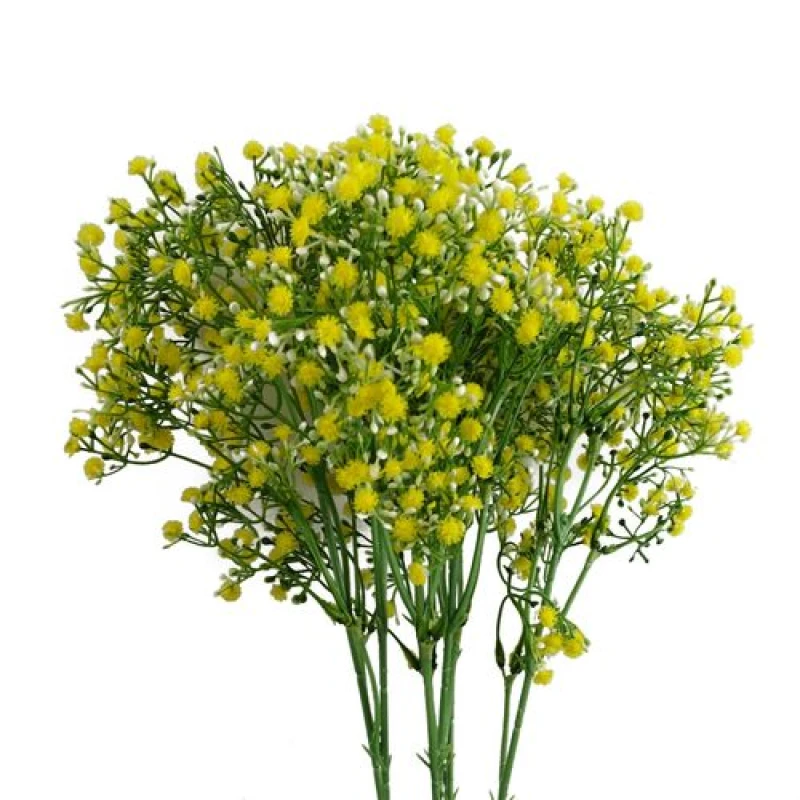 Image of Leaf Pack of 6 x 55cm Gypsophila Yellow Stem