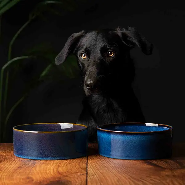 Image of Scruffs Luxirous Reactive Glaze Dog Bowl Set - Blue 19cm SET/RCD/829092