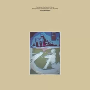 Image of Nocturnal Earthworm Stew by David Pritchard Vinyl Album