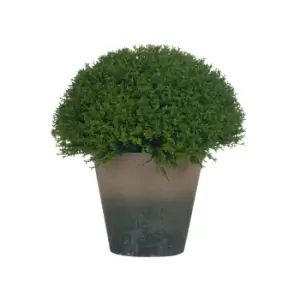 Image of 25cm Artificial Hebe Globe Pot