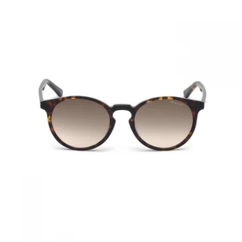 Image of Gant Gant GA71105252P S/G 00 - Havana/Green