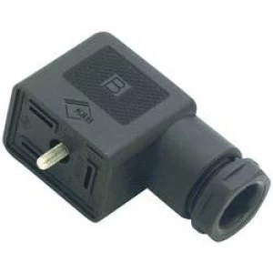 Image of Binder 43 1830 000 03 Black