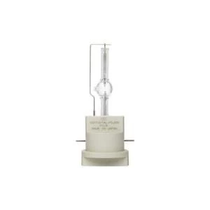 Image of GE Lighting 700W Globe Dimmable High Intensity Discharge Bulb A Energy