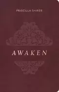 Image of awaken deluxe edition