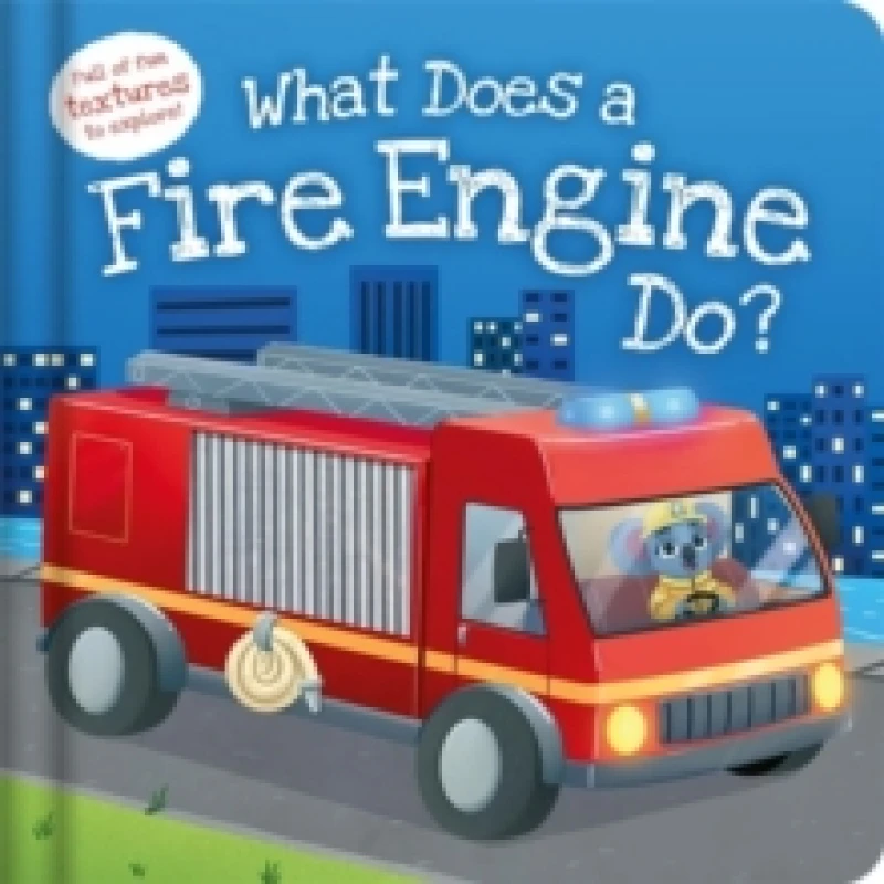 Image of What Does a Fire Engine Do? Hardback