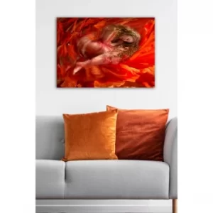 Image of 15435841-5070 Multicolor Decorative Canvas Painting