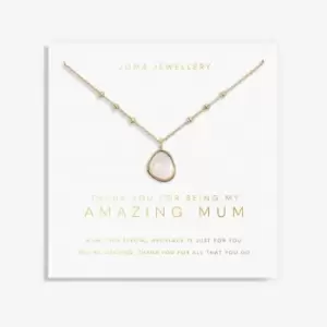 Image of My Moments 'Thank You For Being My Amazing Mum' Necklace 5754
