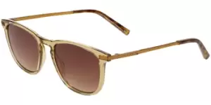 Image of Ted Baker Sunglasses TB1633 500