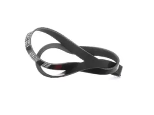 Image of RIDEX V-ribbed belt VW,MERCEDES-BENZ,FORD 305P0320 7198535,95VW6C301JA,A0119976992 GMB71288,GMB71290