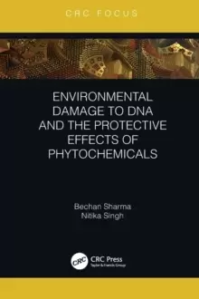 Image of Environmental Damage to DNA and the Protective Effects of Phytochemicals