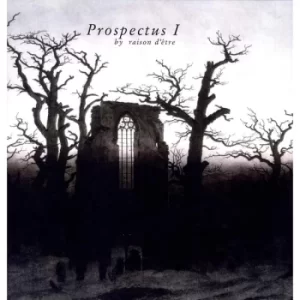 Image of Prospectus I by Raison D'Etre Vinyl Album