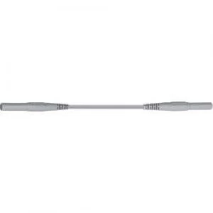 Image of Safety test lead 2m Grey Staeubli XMS 419