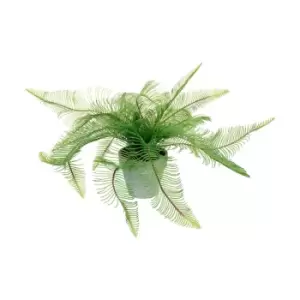 Image of Crossland Grove Potted Fern Feather 500X500X400Mm