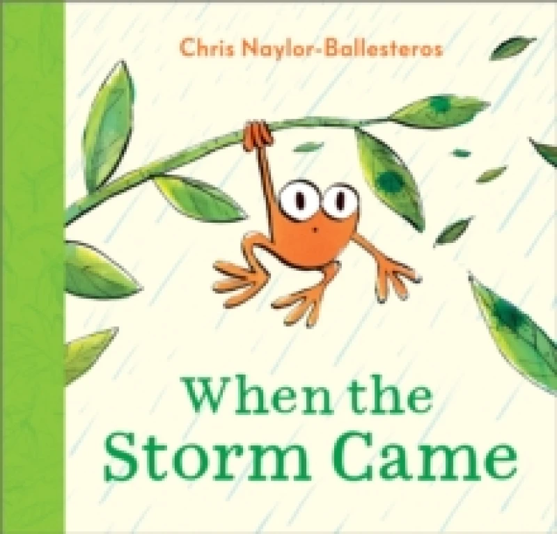 Image of When the Storm Came Paperback / softback