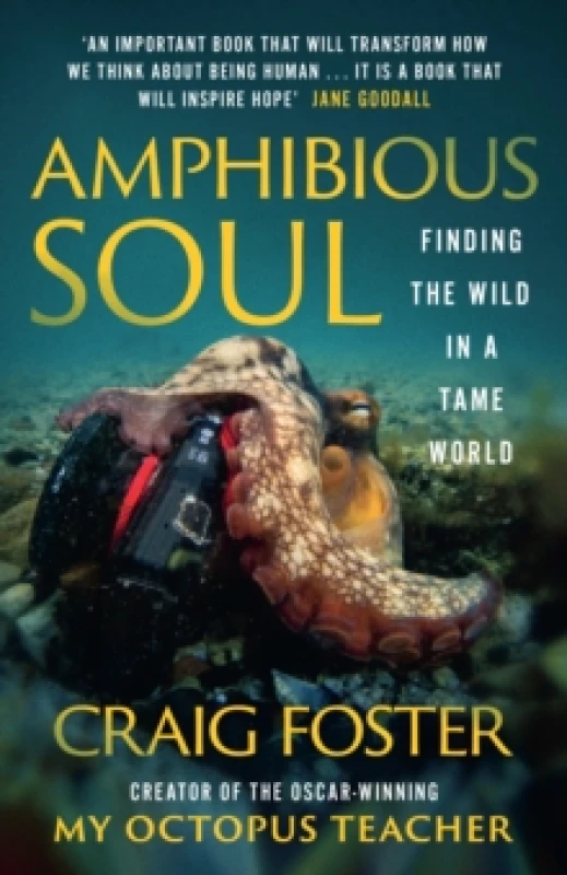 Image of Amphibious Soul : Finding the Wild in a Tame World Paperback / softback