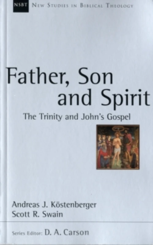 Image of Father, Son and Spirit : The Trinity And John'S Gospel Paperback / softback