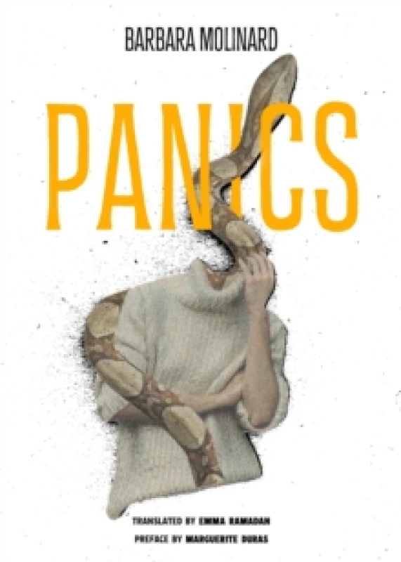 Image of Panics Paperback / softback