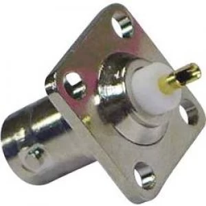 Image of BNC connector Sleeve socket straight pins 75