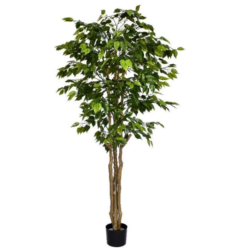 Image of N/A 180cm Fire Retardant Deluxe Retusa Ficus Tree With 1134 Leaves