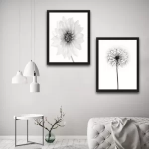 Image of All White Flower Set Multicolor Decorative Framed Painting (2 Pieces)