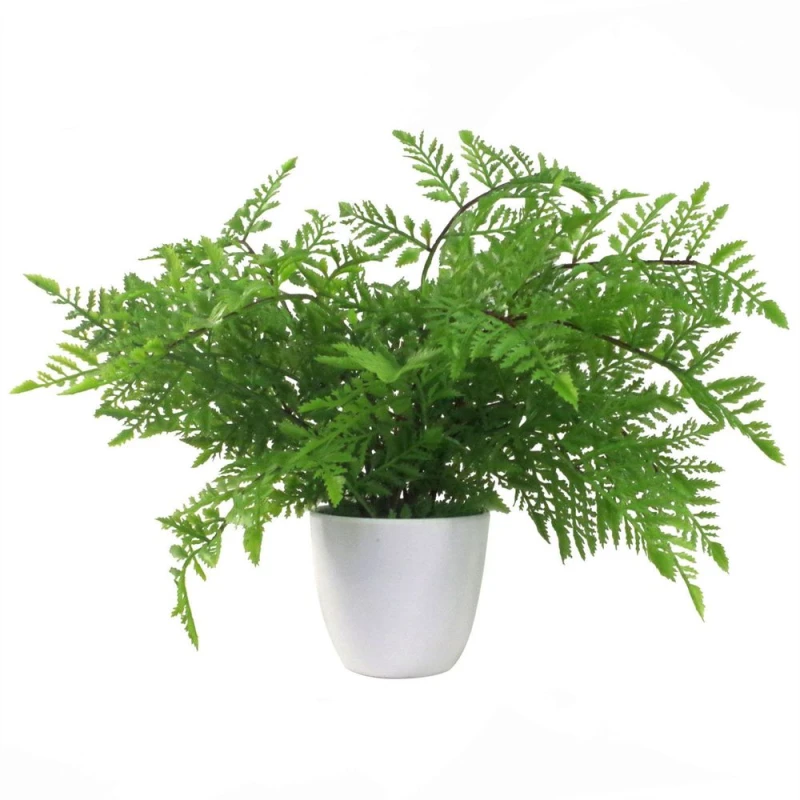 Image of Leaf 30cm Artificial Potted Southern Wood Fern Green