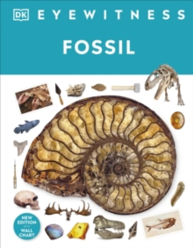 Image of Fossil Hardback