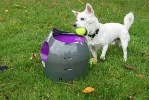 Image of PetSafe Automatic Ball Launcher