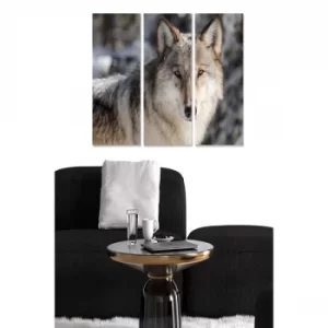 Image of MDF3818343 Multicolor Decorative MDF Painting (3 Pieces)