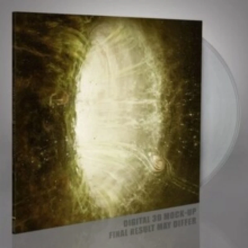 Image of The Anticurrent Vinyl