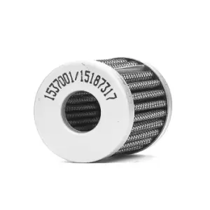 Image of RIDEX Fuel Filter FORD,PEUGEOT,CITROEN 9F0301 659749