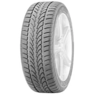 Image of Nokian WR (295/30 R19 100V)