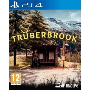 Image of Truberbrook PS4 Game